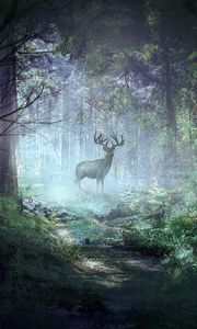 Preview wallpaper deer, forest, light, art, wildlife