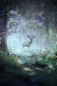 Preview wallpaper deer, forest, light, art, wildlife