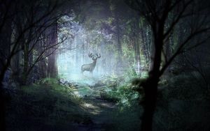 Preview wallpaper deer, forest, light, art, wildlife