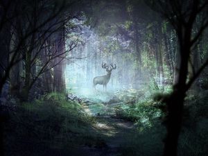 Preview wallpaper deer, forest, light, art, wildlife