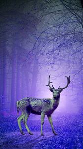 Preview wallpaper deer, forest, mystical, purple, photoshop