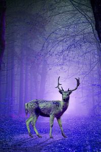 Preview wallpaper deer, forest, mystical, purple, photoshop