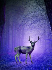 Preview wallpaper deer, forest, mystical, purple, photoshop