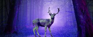 Preview wallpaper deer, forest, mystical, purple, photoshop