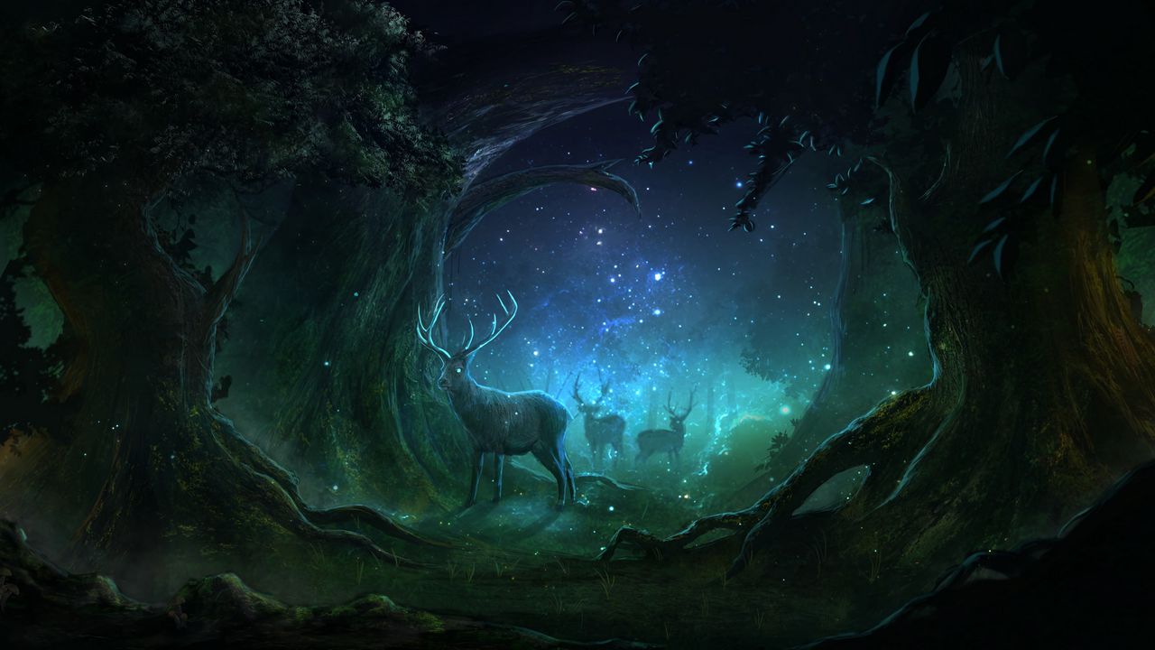 Wallpaper deer, forest, night, lights, magic