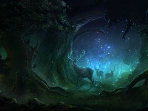 Preview wallpaper deer, forest, night, lights, magic