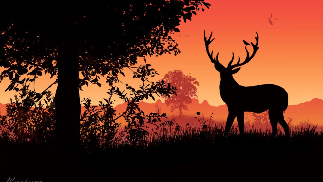Wallpaper deer, horns, sunset, silhouette
