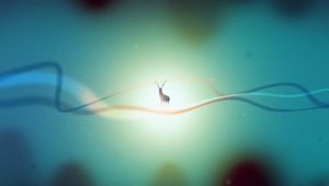 Preview wallpaper deer, line, wavy, light