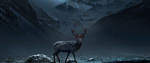 Preview wallpaper deer, mountains, art, gloomy, fog