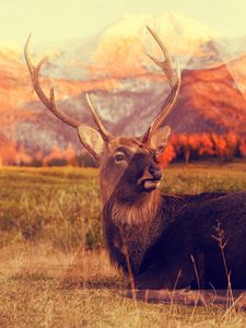 Preview wallpaper deer, mountains, lying, grass, triangle