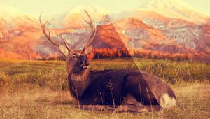 Preview wallpaper deer, mountains, lying, grass, triangle