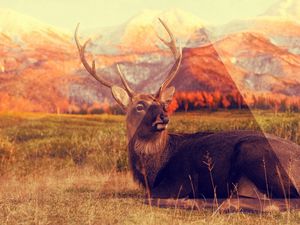 Preview wallpaper deer, mountains, lying, grass, triangle