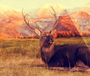 Preview wallpaper deer, mountains, lying, grass, triangle