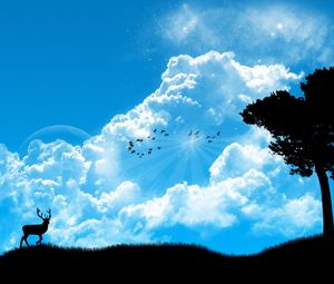 Preview wallpaper deer, nature, sky, tree