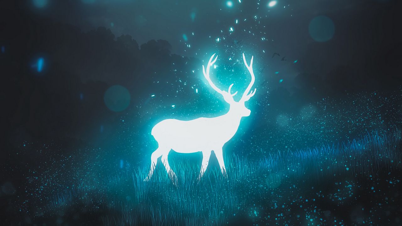 Wallpaper deer, night, moon, glow, glare
