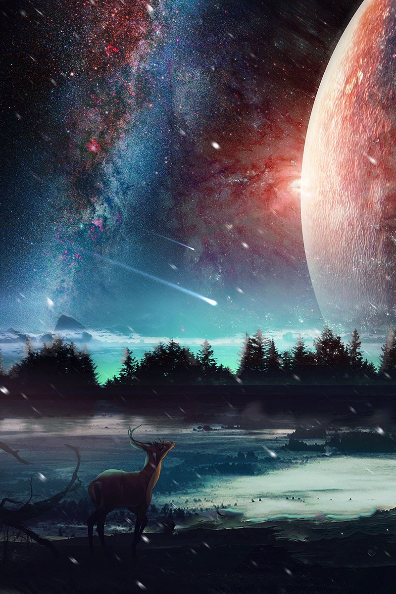 800x1200 Wallpaper deer, planet, art, space, stars