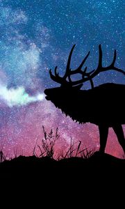 Preview wallpaper deer, silhouette, galaxy, stars