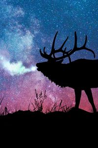 Preview wallpaper deer, silhouette, galaxy, stars