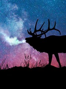 Preview wallpaper deer, silhouette, galaxy, stars