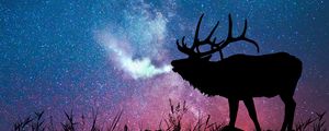 Preview wallpaper deer, silhouette, galaxy, stars