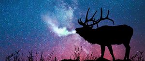 Preview wallpaper deer, silhouette, galaxy, stars