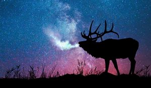 Preview wallpaper deer, silhouette, galaxy, stars