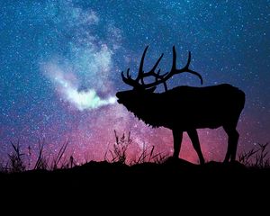 Preview wallpaper deer, silhouette, galaxy, stars