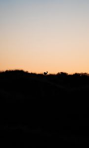 Preview wallpaper deer, silhouette, horizon, sunset