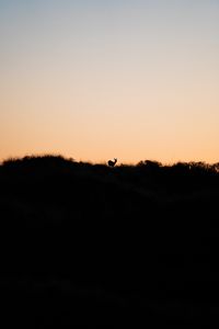 Preview wallpaper deer, silhouette, horizon, sunset