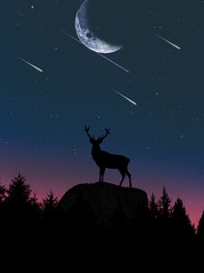 Preview wallpaper deer, silhouette, twilight, moon, hill