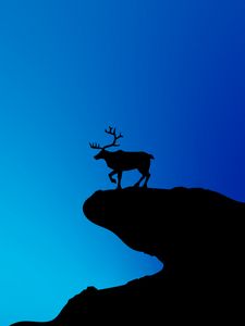 Preview wallpaper deer, silhouette, vector, art, blue, dark