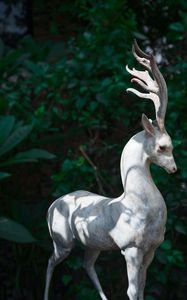 Preview wallpaper deer, statue, art