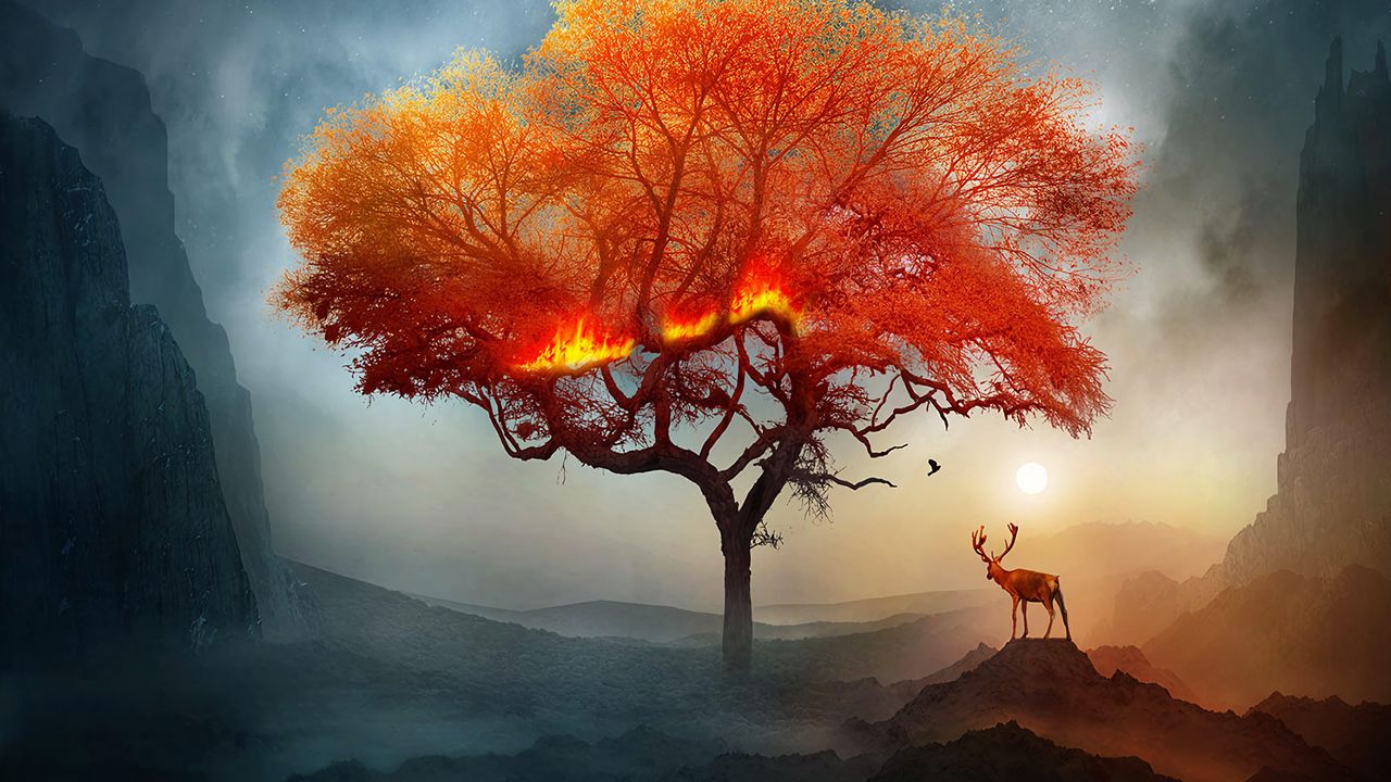 Wallpaper deer, tree, art, fire, fantastic