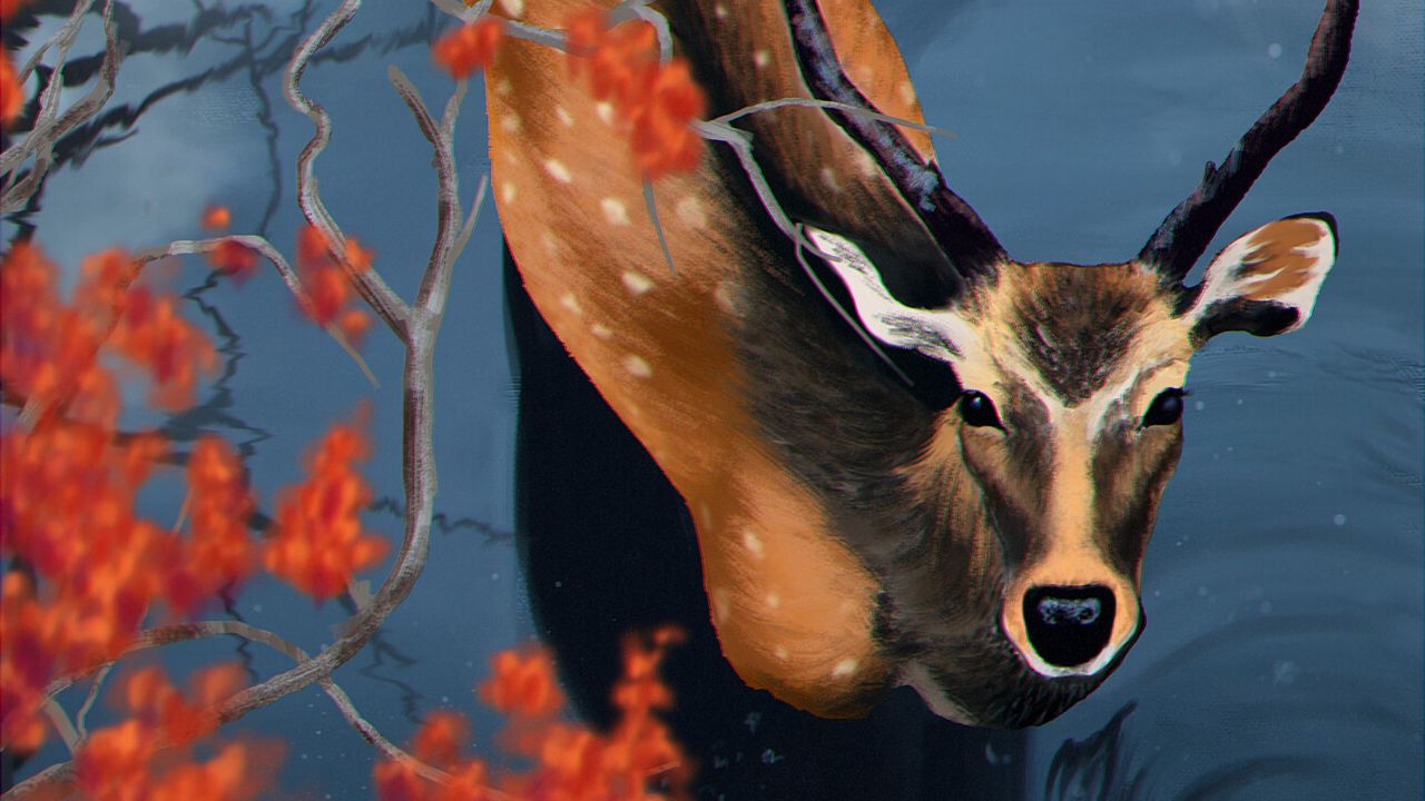 Wallpaper deer, water, branches, art, wildlife