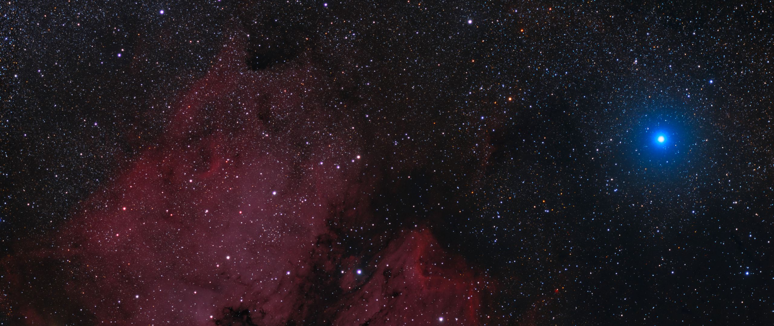 Download wallpaper 2560x1080 deneb, stars, constellation swan, space ...
