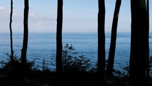 Preview wallpaper деревья, берег, море, темный