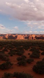 Preview wallpaper desert, bushes, evening, shade