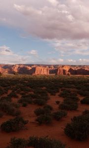 Preview wallpaper desert, bushes, evening, shade