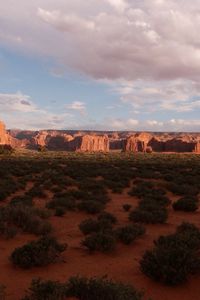 Preview wallpaper desert, bushes, evening, shade