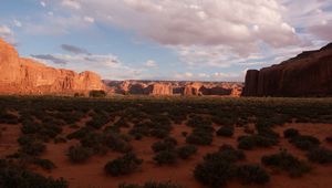 Preview wallpaper desert, bushes, evening, shade