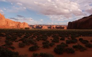 Preview wallpaper desert, bushes, evening, shade