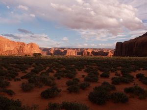 Preview wallpaper desert, bushes, evening, shade