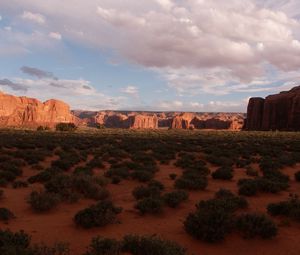 Preview wallpaper desert, bushes, evening, shade