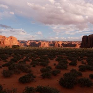 Preview wallpaper desert, bushes, evening, shade