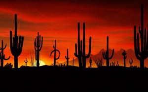 Preview wallpaper desert, cactuses, outlines, sun, decline, evening, figures