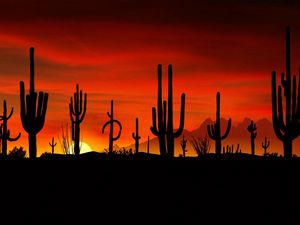Preview wallpaper desert, cactuses, outlines, sun, decline, evening, figures
