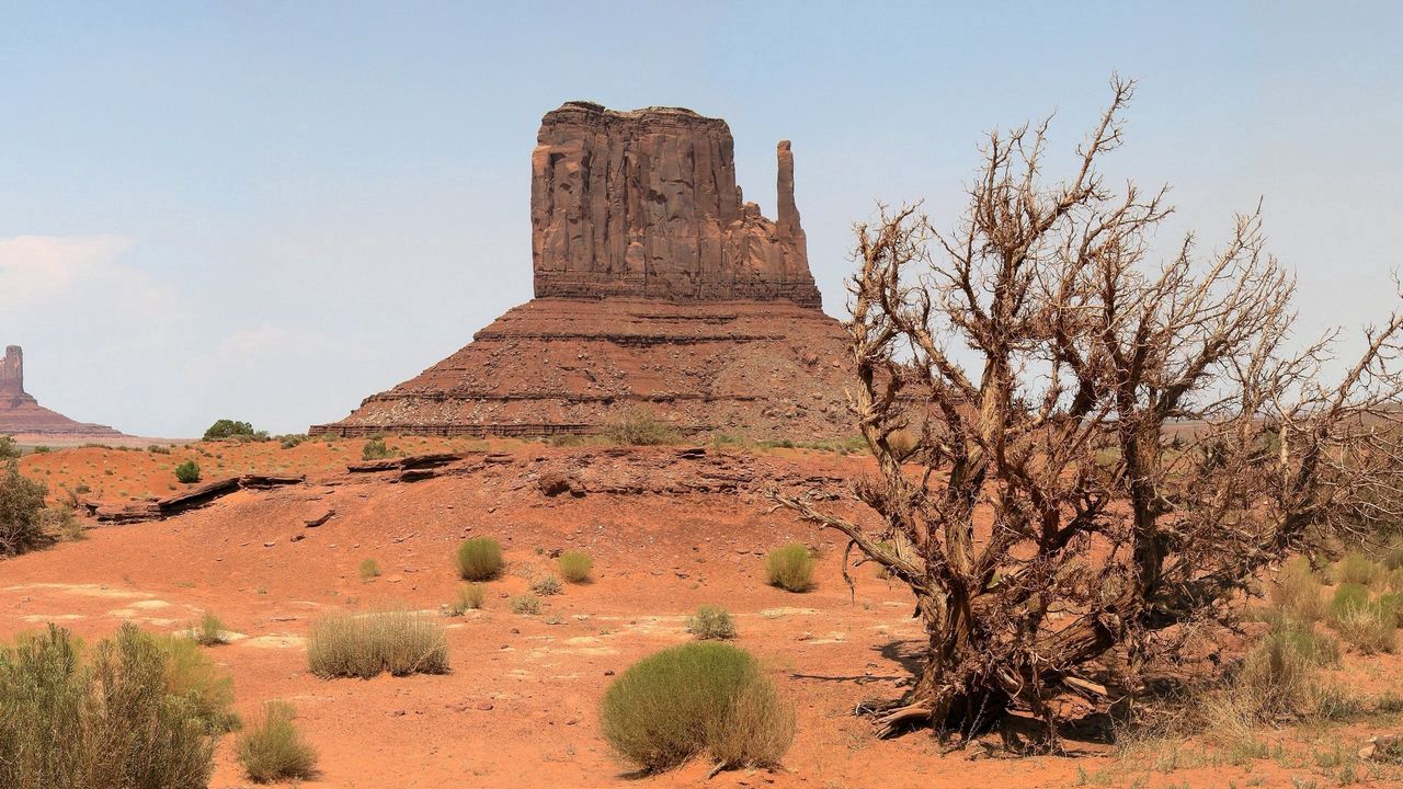 Wallpaper desert, canyon, vegetation, drought