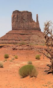 Preview wallpaper desert, canyon, vegetation, drought