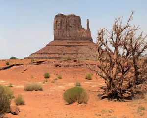 Preview wallpaper desert, canyon, vegetation, drought