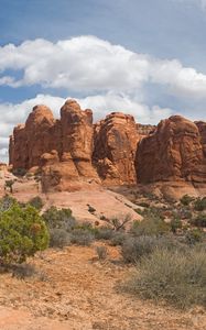 Preview wallpaper desert, canyons, bushes, vegetation